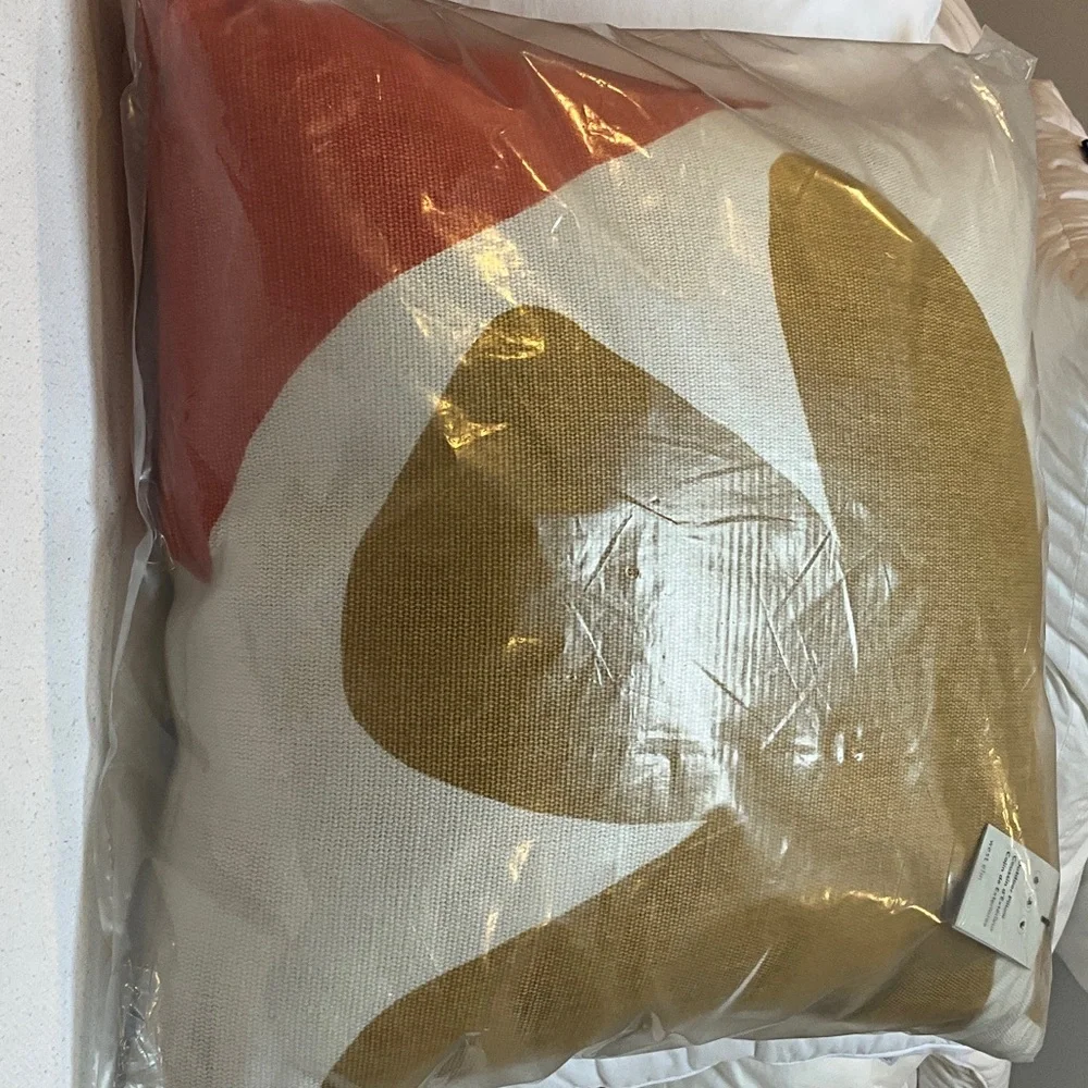 West Elm Multicolor Accent Pillow